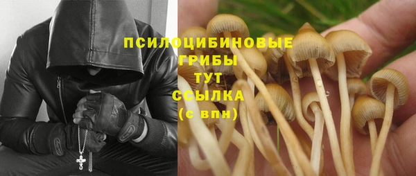 марихуана Лабытнанги