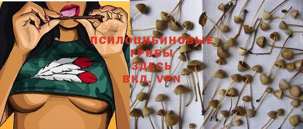 герыч Пересвет