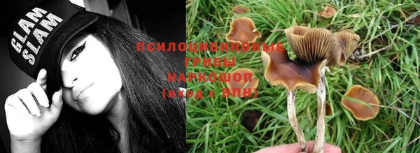 марихуана Лабытнанги