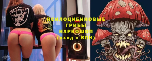 PSILOCYBIN Переславль-Залесский