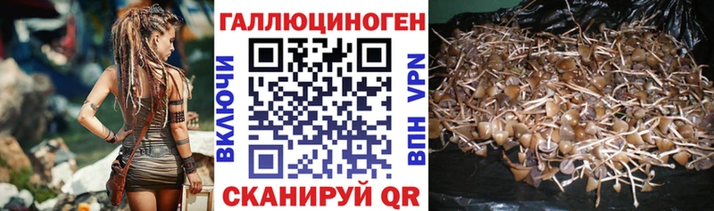 ОМГ ОМГ как зайти  Чайковский  Галлюциногенные грибы MAGIC MUSHROOMS 