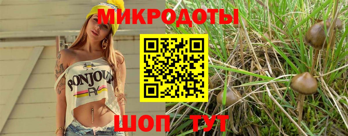 Галлюциногенные грибы Psilocybine cubensis  Вход с VPN  Чайковский 