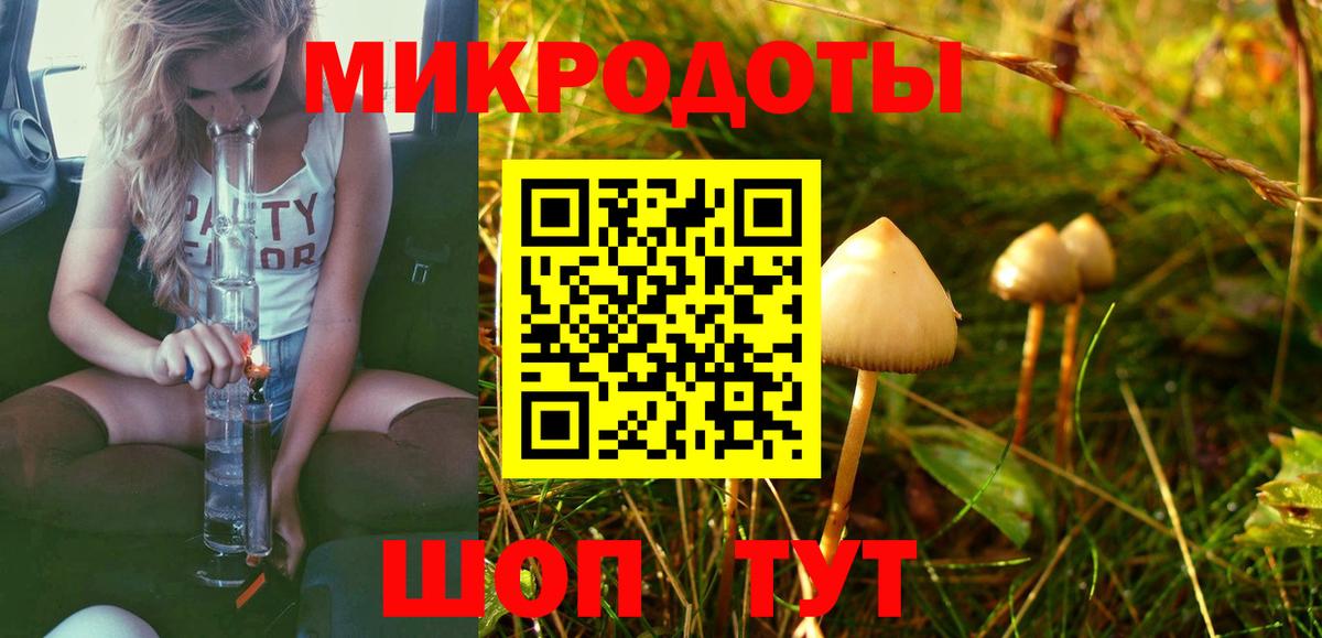 Галлюциногенные грибы MAGIC MUSHROOMS Чайковский