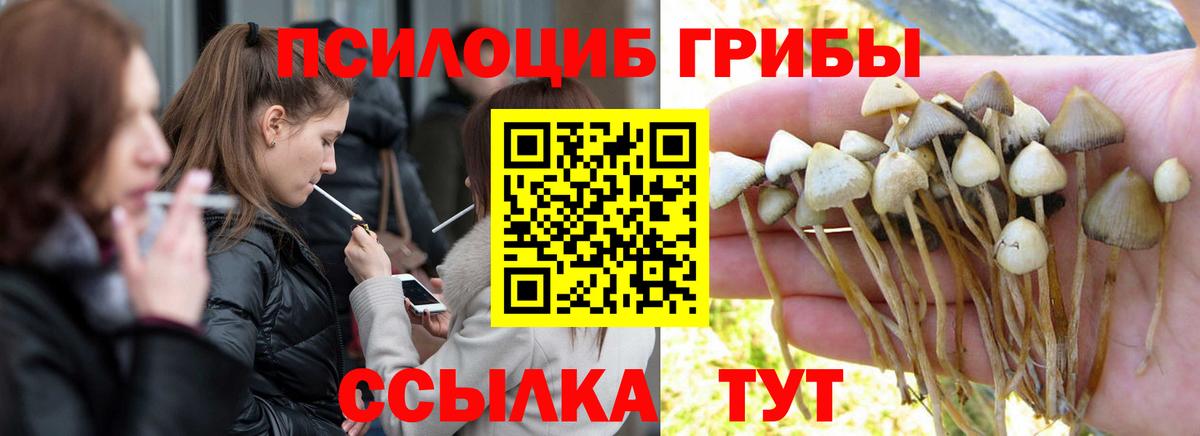 Псилоцибиновые грибы Magic Shrooms  Галлюциногенные грибы MAGIC MUSHROOMS  Чайковский 